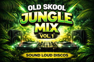 Perko Audio Lab Projects Sound Loud Discos